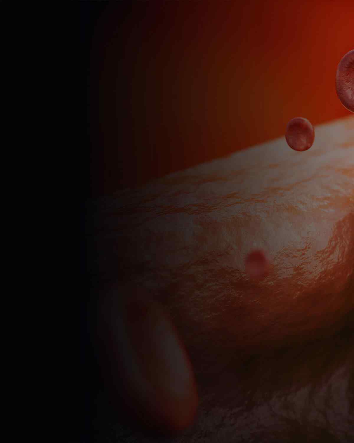 https://www.snhospital.org/wp-content/uploads/2021/08/interactive_image_left.jpg