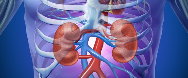 The Top Nephro Sciences Hospital In India- Sharda Narayan
