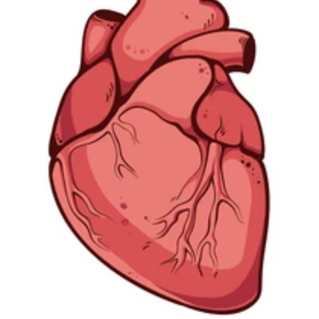 Lifestyle Habits for a Healthy Heart