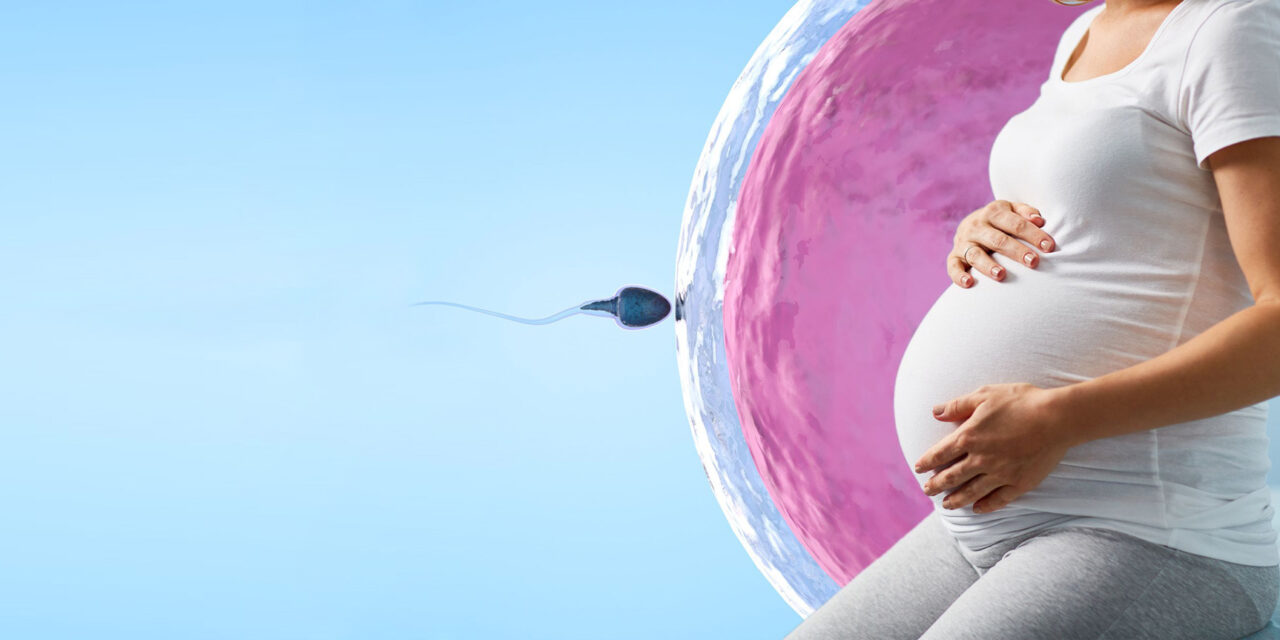 IVF केंद्र